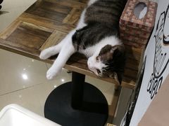 -小时光咖啡馆(开森度假森林店)