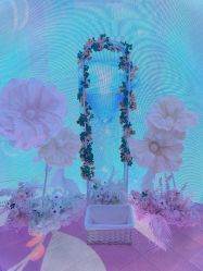 -超级奈尔宝SUPER NEOBIO(杭州星光店)