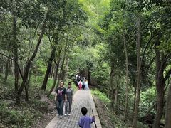 -紫金山天文台