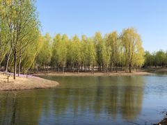 -东郊湿地公园