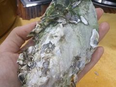 -蚝专家(北滘店)