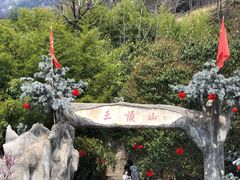 -王顺山国家森林公园