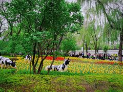 -迎泽公园