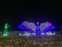 -亚龙湾国际玫瑰谷