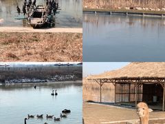 -池杉湖湿地公园