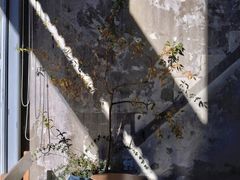 -VOYAGE COFFEE 咖啡烘焙工坊店(798艺术区店)