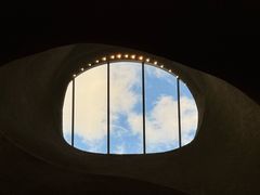 -美国自然历史博物馆