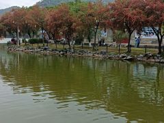 -珠海圆明新园