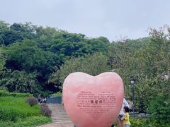 -佛山华盖山公园