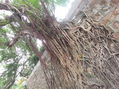 -九龙公园
