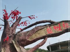 -绵阳盛世樱花悠乐谷