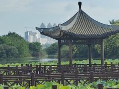 -南宁南湖公园