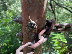 -云峰山自然风景区