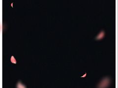 -汉堡王(上海虹口龙之梦)
