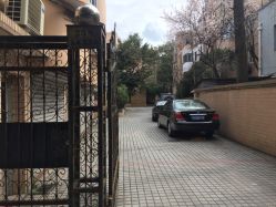 -樱木町·日式头皮管理中心