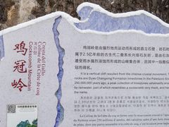-武陵山森林公园