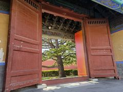 -北京市劳动人民文化宫(太庙)