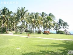 -三亚亚龙湾天域度假酒店