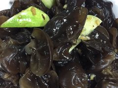 爽口木耳-叶存利海鲜大馅饺子(东戴河止锚湾店)