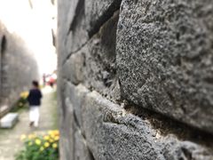 -叶氏庄园