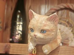 -鸟鹏烧鸟居酒屋(龙岗万科店)