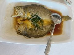 -川林海鲜酒家·湾仔传统早茶·粤菜