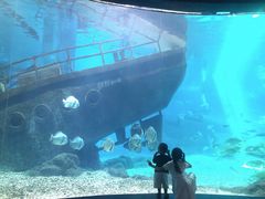 -福州罗源湾海洋世界旅游区