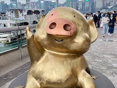-星光大道