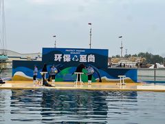 -秦皇岛乐岛海洋王国