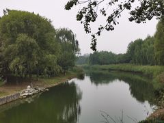 -大兴滨河森林公园