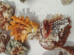 -万达广场(武汉菱角湖店)