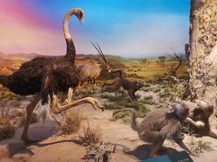 -国家自然博物馆