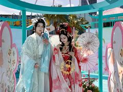 -海合安成都极地海洋公园