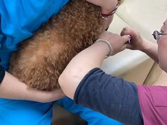 -宠颐生中康贝怡动物医院