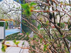 -石家庄市植物园