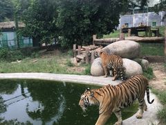 -泉州海丝野生动物世界