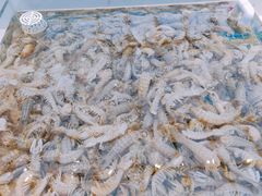 -集品鲜湾·蒸汽海鲜自助料理(青岛银座和谐广场店)