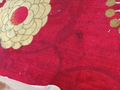 -深圳楚天大酒店(福田口岸深圳会展中心店)