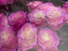 -ROSEONLY诺誓(广州K11店)