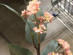 -火锅岛潮牌自助餐厅(天津天佑城店)