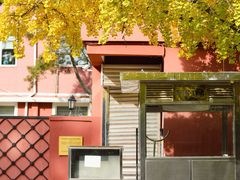 -三里屯东五街银杏大道