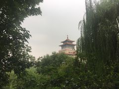 -教师之家赵家羊汤馆(东青龙街店)