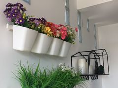 -心邸·庆宴(雅宝城店)