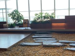 -Seesaw Coffee(朝阳大悦城店)