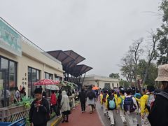 -上海长兴岛郊野公园