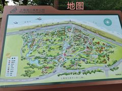 -上海滨江森林公园