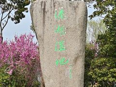 -溱湖国家湿地公园