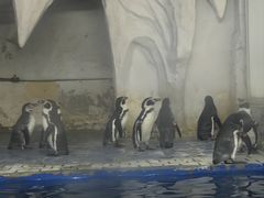 -太平洋海底世界