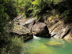 -广州白江湖森林公园