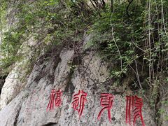 -王顺山国家森林公园